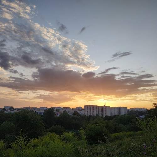 Photo #7049140