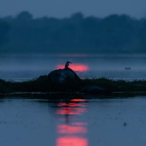 The red lake