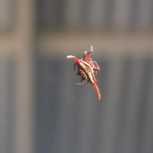 Photo #7050260
