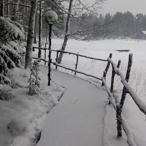 Photo #7050345