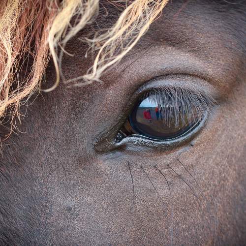 Photo #7050364