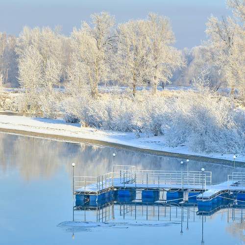 Photo #7050365