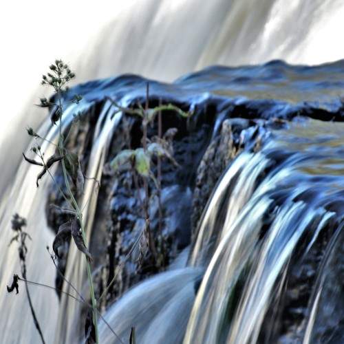 Photo #7050380