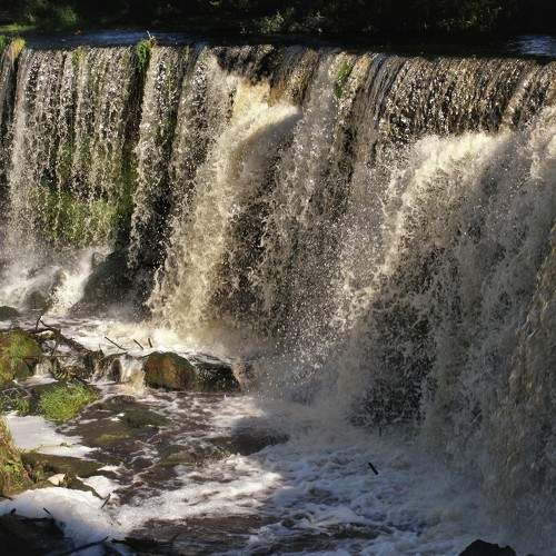 Photo #7050381