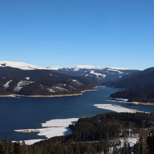Photo #7050803