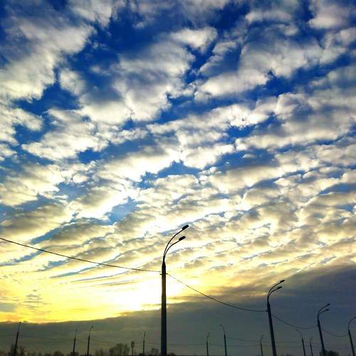 Photo #7051088
