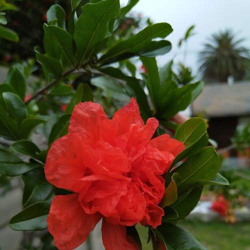 Photo #7051107