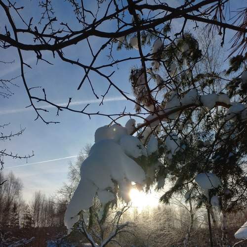 Photo #7051249