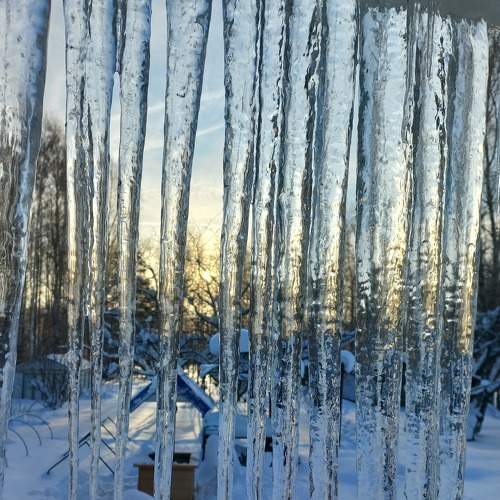 Photo #7051260