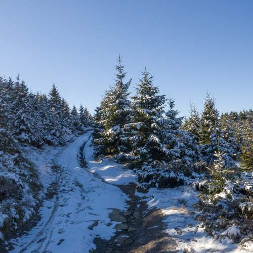 Photo #7051322