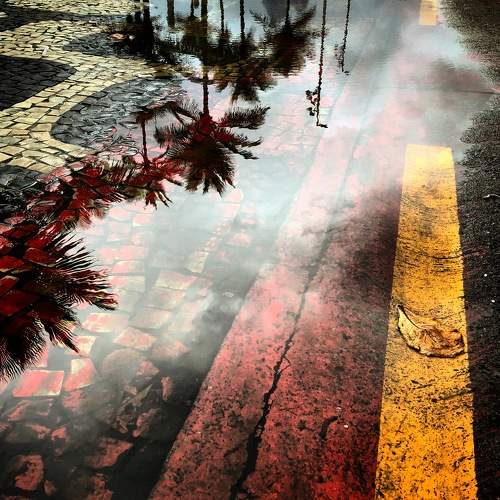 Photo #7051334