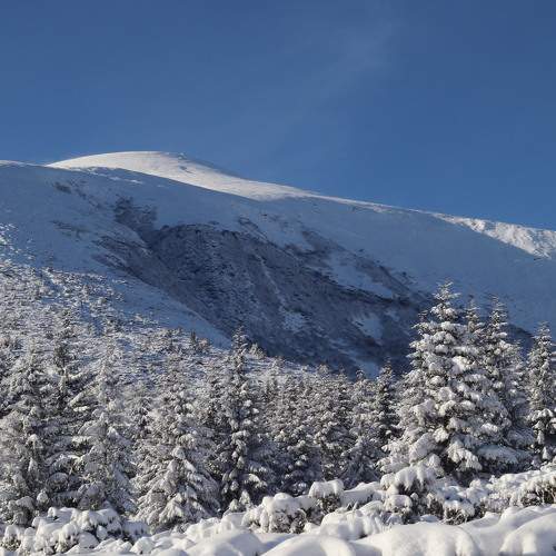 Photo #7051347