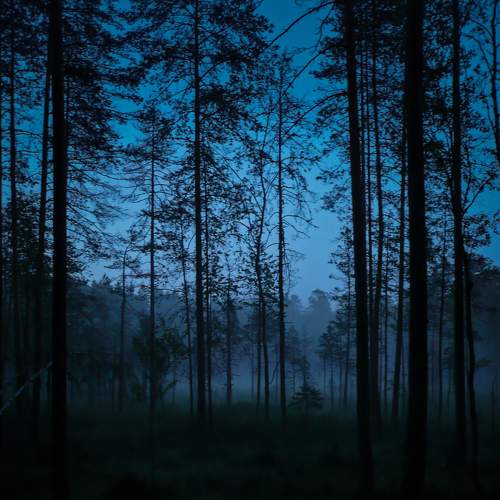 Photo #7051527