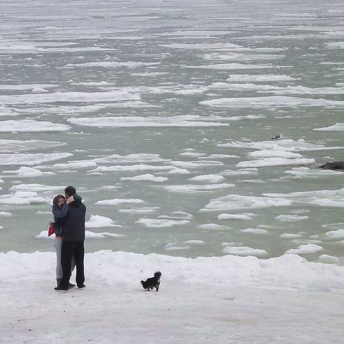 Photo #7052015