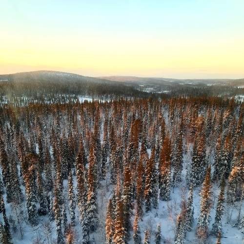 Photo #7052039