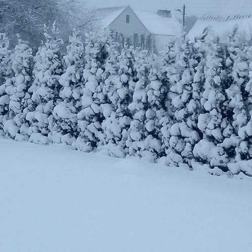 Photo #7052292