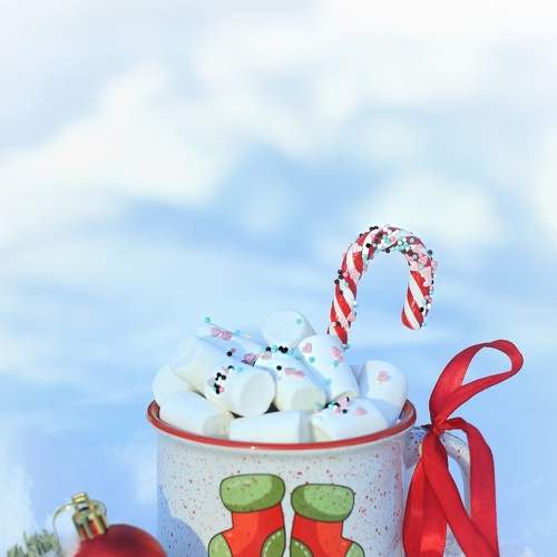 Photo #7052316