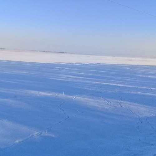Photo #7052336