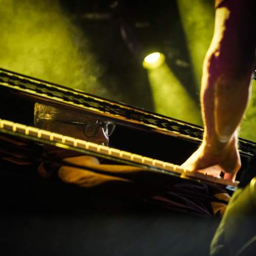 Photo #7052350