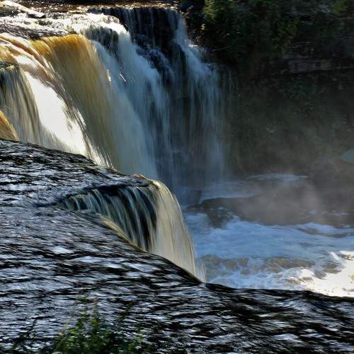 Photo #7052483