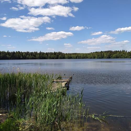Photo #7052505