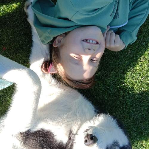 Photo #7052641