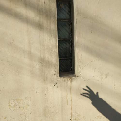 Photo #7052696