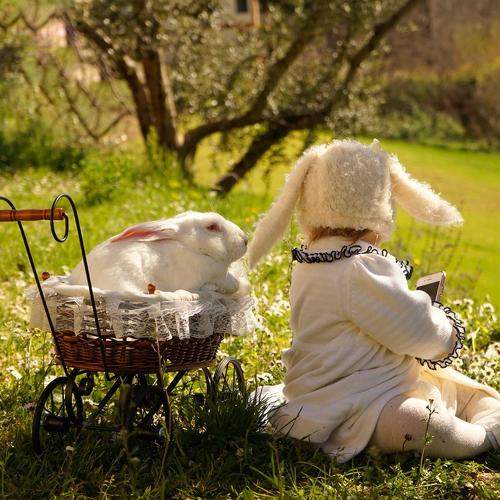 Photo #7052767