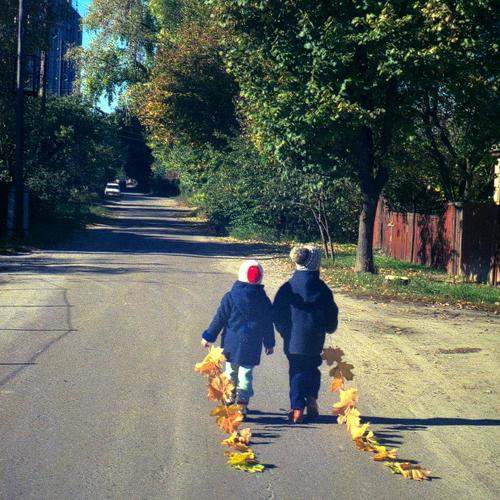 Photo #7053533