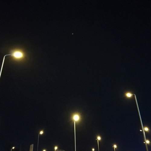 Photo #7053733