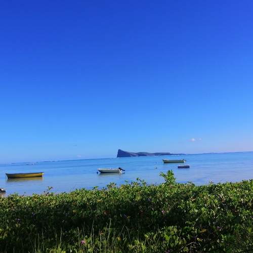 Photo #7054457