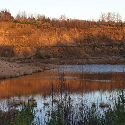 Photo #7054670