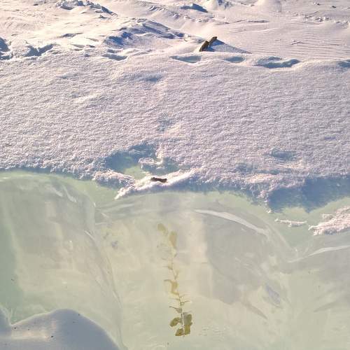 Photo #7054691