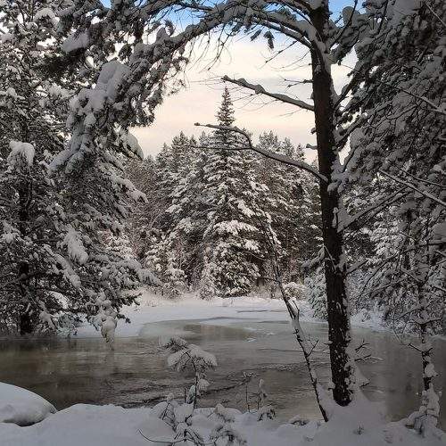 Photo #7054699
