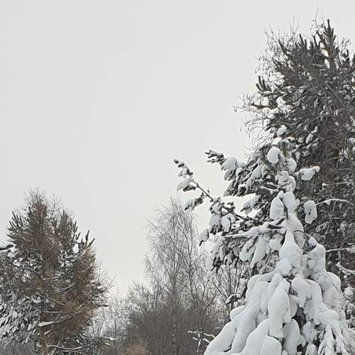Photo #7054720