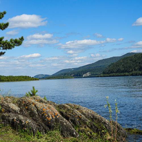 Photo #7054817