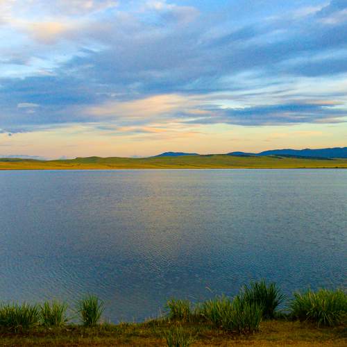 Photo #7054820