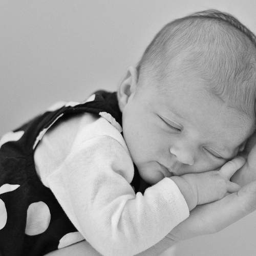 Photo #7054845