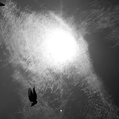Photo #7055168