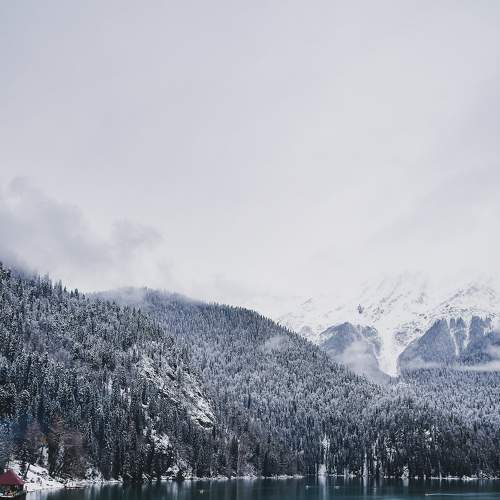 Photo #7055386