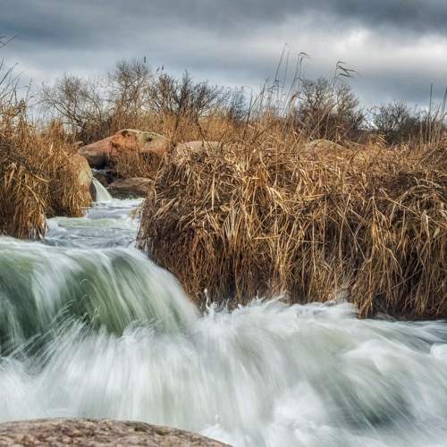 Photo #7055415