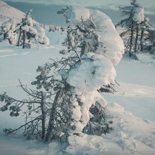 Photo #7055424