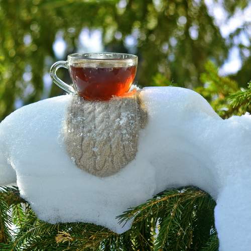 Photo #7055430