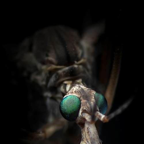 Photo #7056024