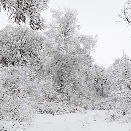 Photo #7056280