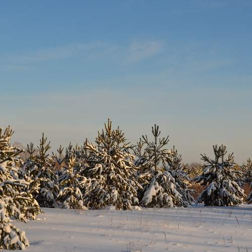 Photo #7056512