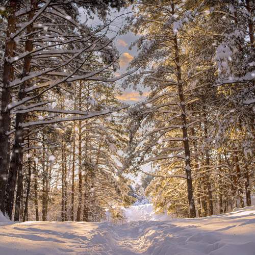 Photo #7056669