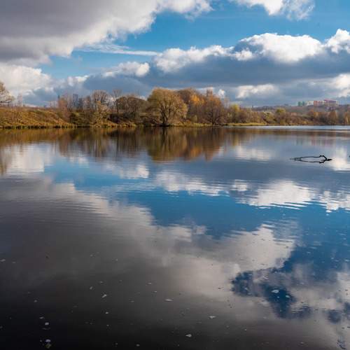 Photo #7056746