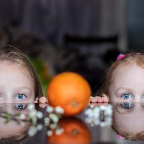 Photo #7057106