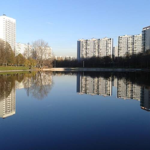 Photo #7057381